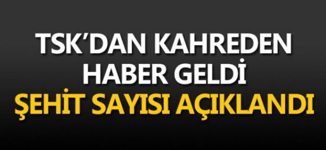 ŞEHİT SAYISI AÇIKLANDI