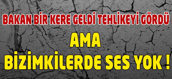 Adam Bire Kere Geldi Tehlikeyi Gördü
