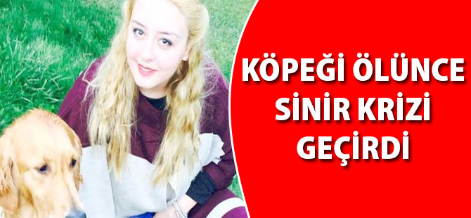 Köpeği Ölünce Sinir Krizi Geçirdi