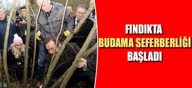 Fındıkta Budama Seferberliği