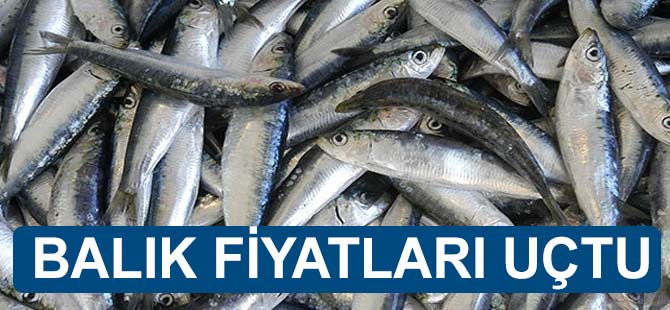 Balık Fiyatları Uçtu
