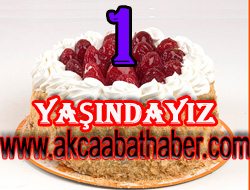 Sitemiz 1 Yaşında