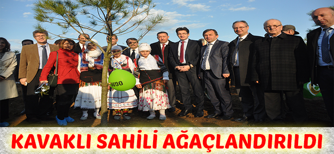 Kavaklı Sahili Ağaçlandırıldı