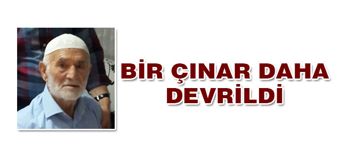 Bir Çınar daha Devrildi