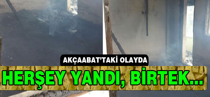 Her şey Yandı Bir Tek O...