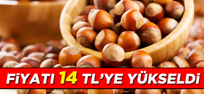 Fındık 14 TL'ye Yükseldi
