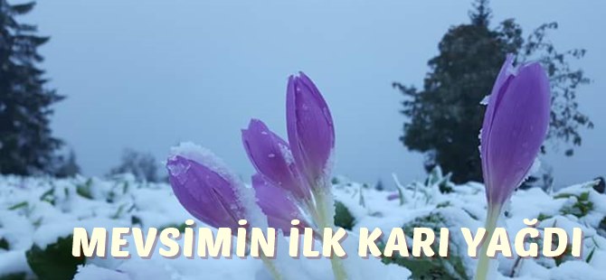 Akçaabat’a mevsimin ilk karı yağdı.