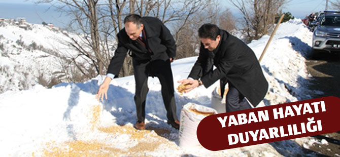 Akçaabat Belediyesi’ nin Yaban Hayatı Duyarlılığı.