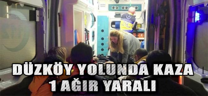 Trafik Kazası 1 Yaralı