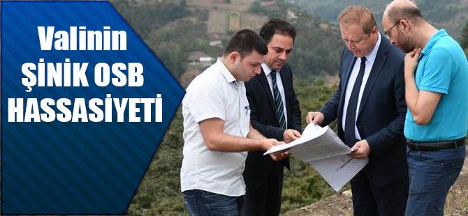 Vali'den Şinik OSB Hassasiyeti