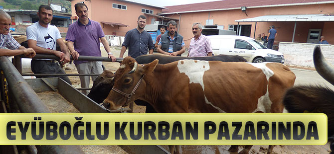 Eyüboğlu Kurban Pazarında