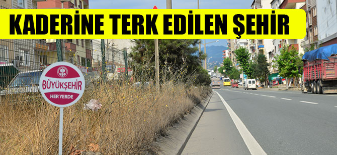 Kaderine Terk Edilen Şehir