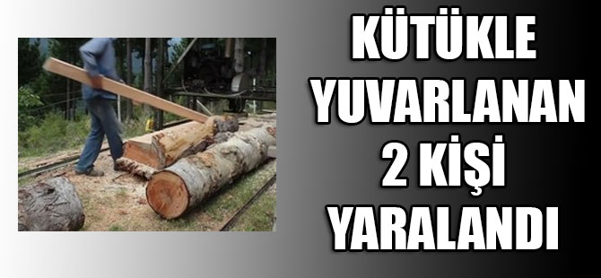 Kütük Kazası 2 Yaralı