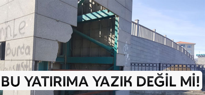 Bu Yatırıma Yazık Değil Mi?