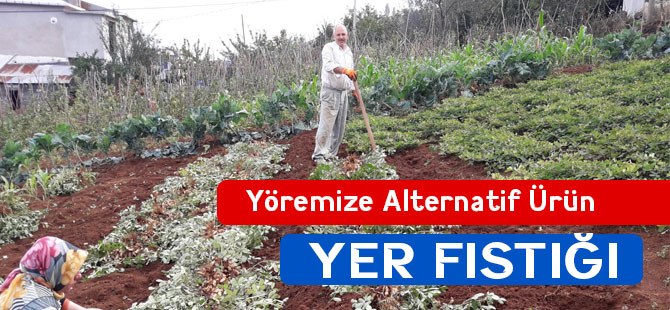 Yöremize Alternatif Ürün