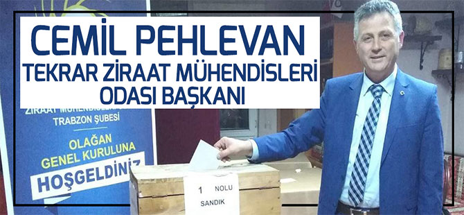 Pehlevan Güven Tazeledi