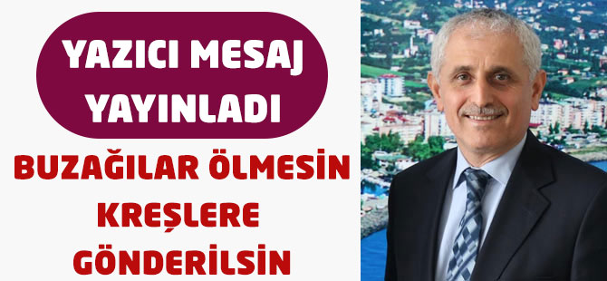 Buzağılar Ölmesin Kreşlere Gönderilsin