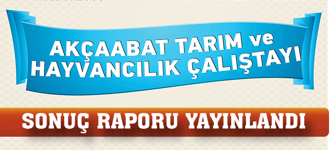 Çalıştay Raporu Yayınlandı