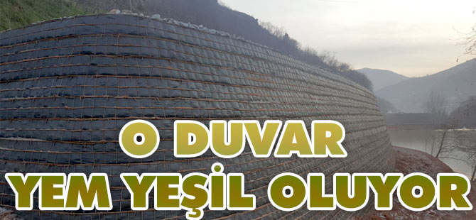 O Duvar Yeşillendi