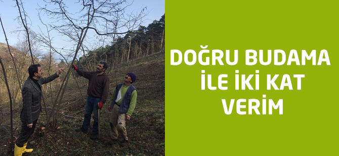 Doğru Buda ile İki Kat Verim