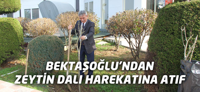 Bektaşoğlu'ndan Zeytin Dalı Harekatına Atıf