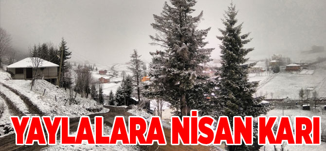 Yaylalar Nisan Karı İle Güzelleşti