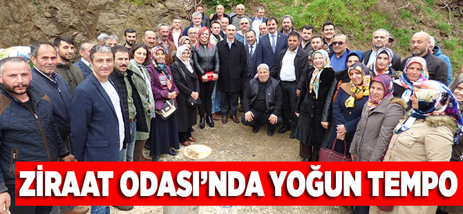 Ziraat Odası'nda Yoğun Mesai