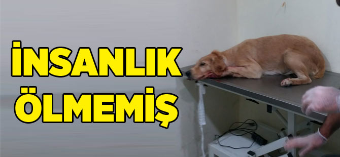 İnsanlık Ölmemiş