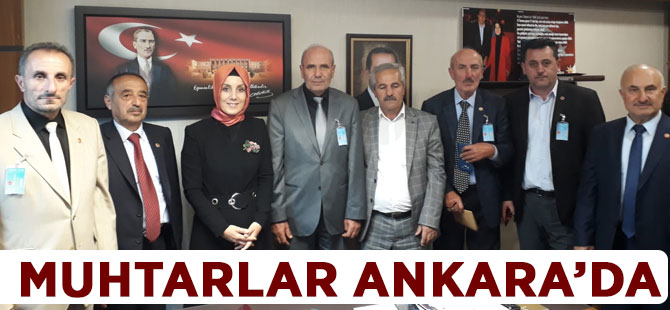 Muhtarlar Ankara'da