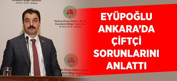Başkan Eyüpoğlu Ankara da Çiftçi Sorunlarını Anlattı