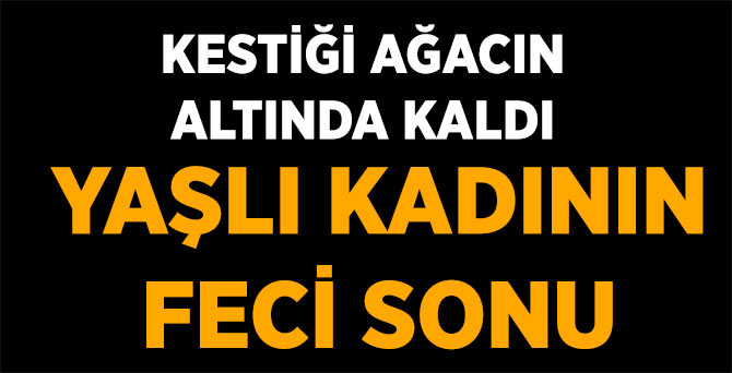 Yaşlı Kadının Feci Sonu