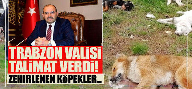 Vali de Açıklama Yaptı