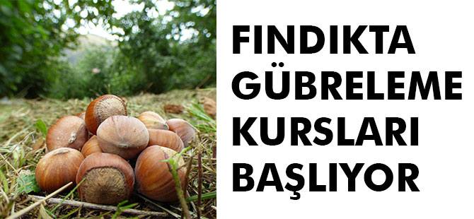 Fındıkta Gübreleme Kursları Başlıyor