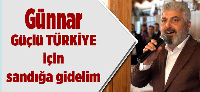 Günnar "Güçlü Türkiye İçin Sandığa Gidelim"