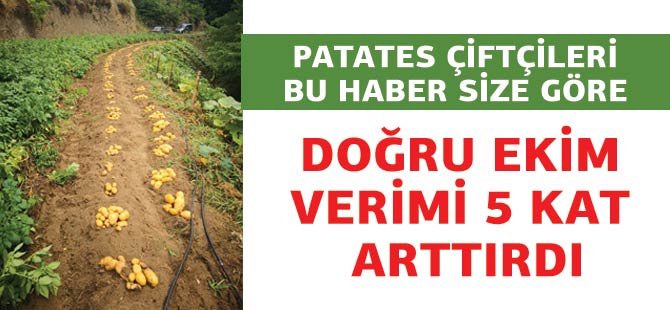 Doğru Ekim Verimi 5 Kat Arttırdı.