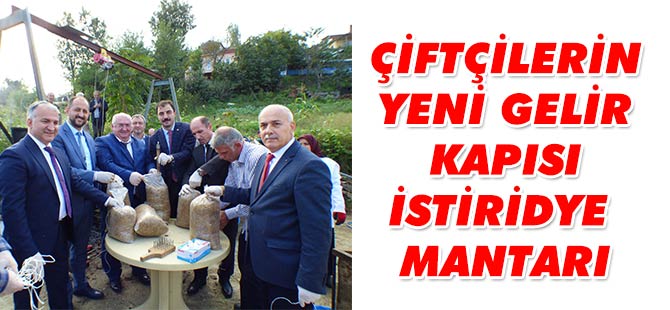 Çiftçilerin Yeni Gelir Kapısı İstiridye Mantarı