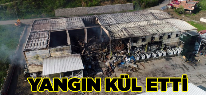 Yangın Kül Etti