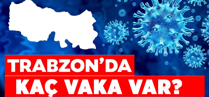 Trabzon'da kaç vaka var?