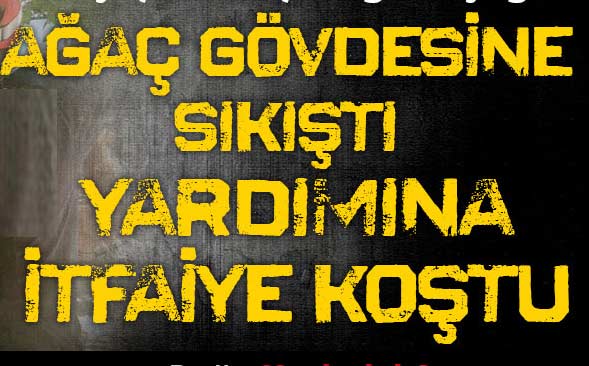 Ravzanur'u İtfaiye Kurtardı