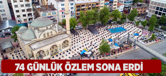 Özlem Sona Erdi