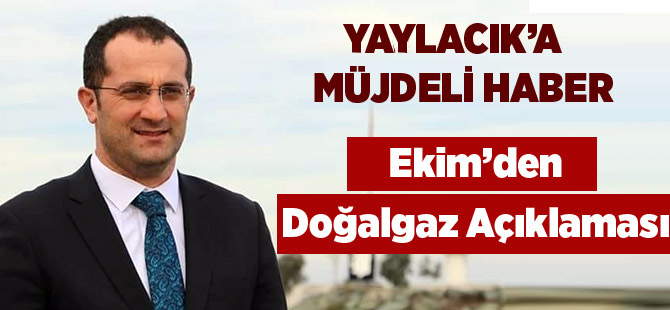 Ekim'den Doğalgaz Açıklaması