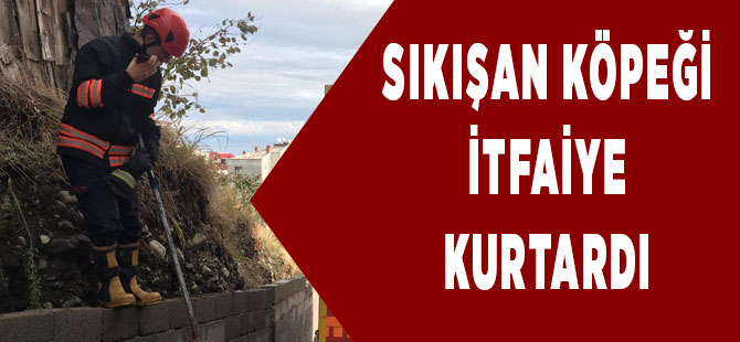 İki duvar arasına sıkışan köpeği, itfaiye kurtardı