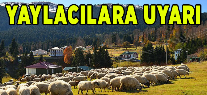 Yaylacı Vatandaşlara Uyarı