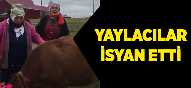 Yaylacılar İsyan Etti