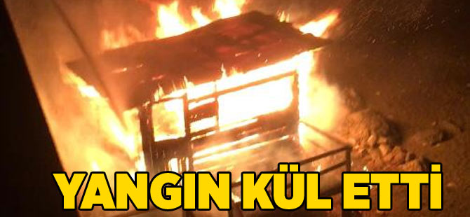 Yangın Küle Çevirdi