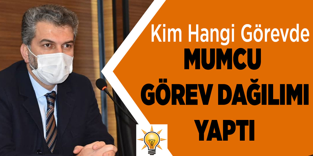 AK Parti'de Görev Dağılımı