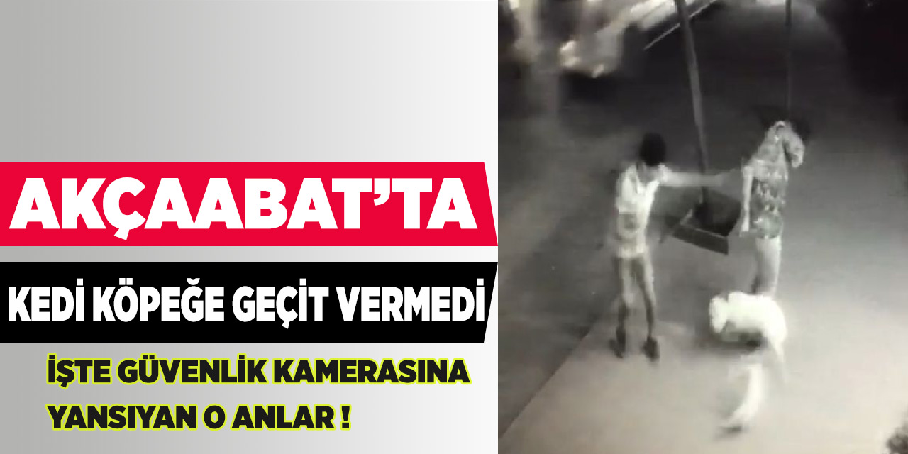 Kedinin Köpeğe Hırsı
