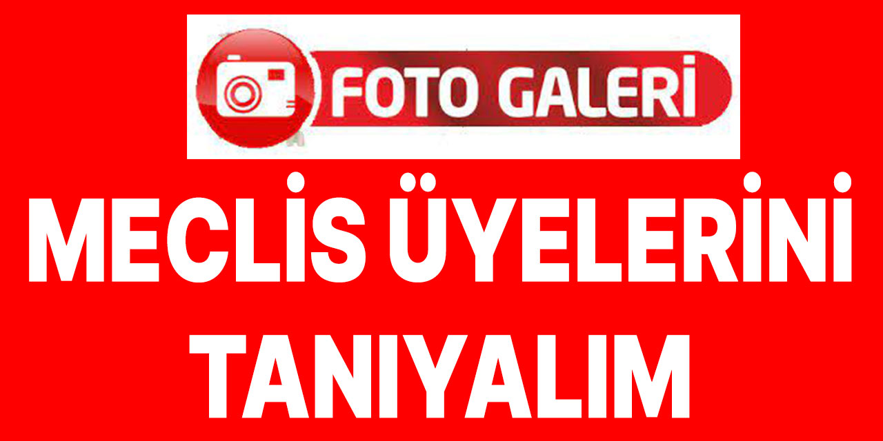 Meclis Üyelerini Tanıyalım
