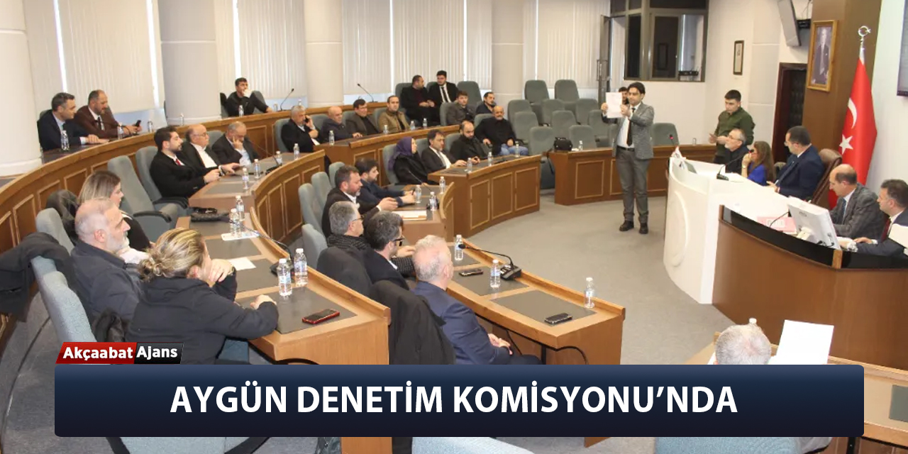 Aygün Denetim Komisyonu'nda