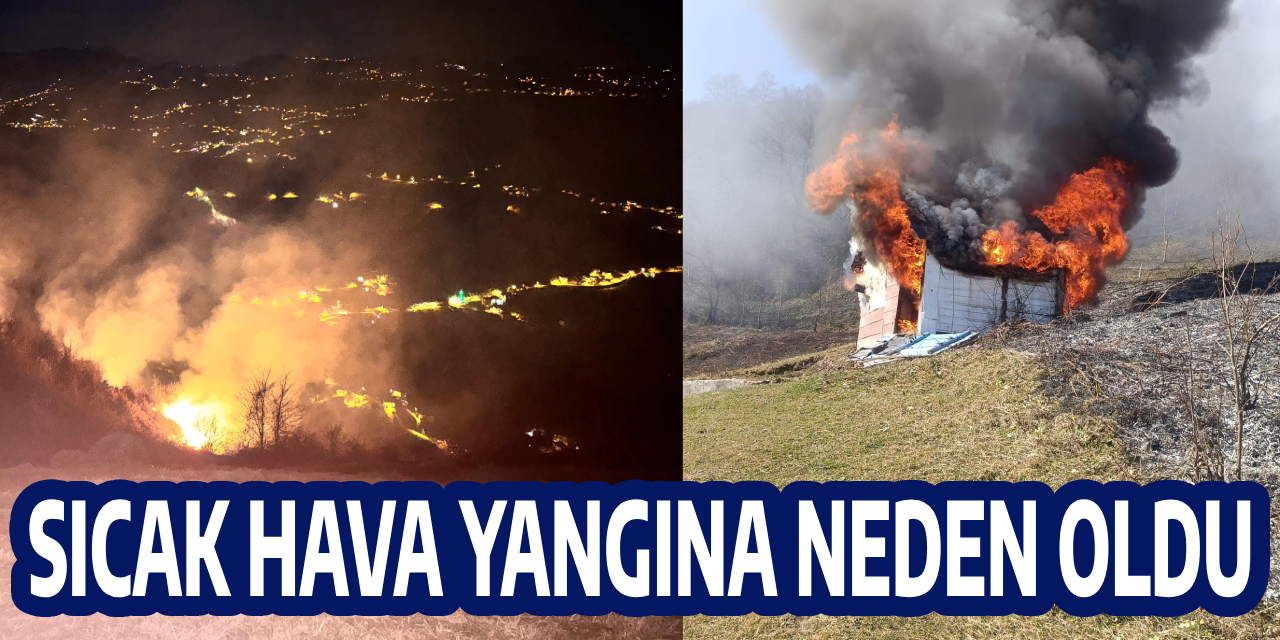 Sıcak hava yangınlara neden oldu.